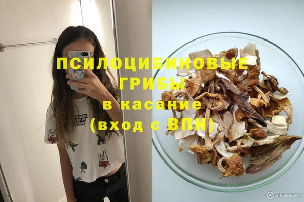 сатива Алзамай
