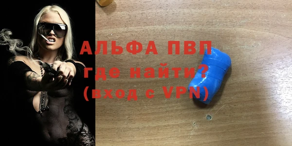 СК Алексин