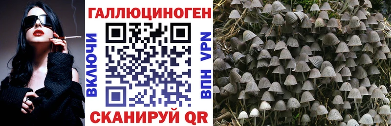 kraken зеркало Заволжск darknet клад купить закладку Псилоцибиновые грибы MAGIC MUSHROOMS